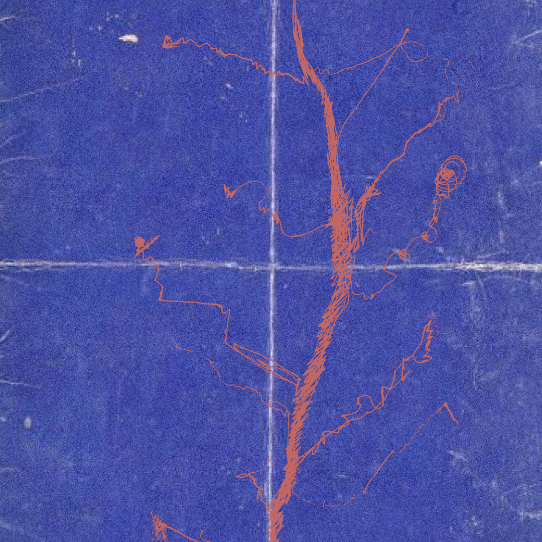 ANAMNESI DI UNA CREPA